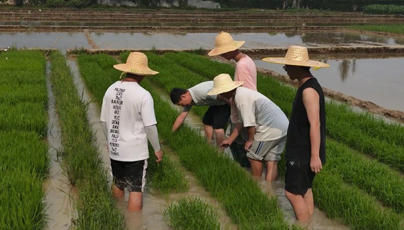 微信图片_20250617101037.jpg